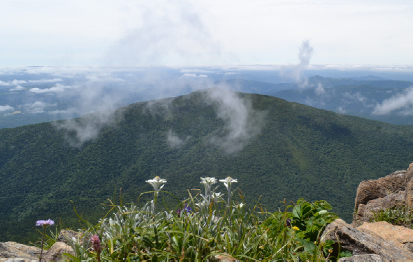 早池峰山 2019 7 9 此中凡風 早池峰山 2019 7 9 此中凡風