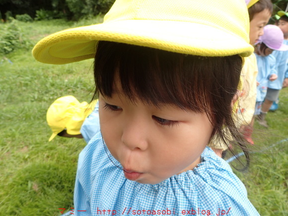 d0105749_13521484.jpg