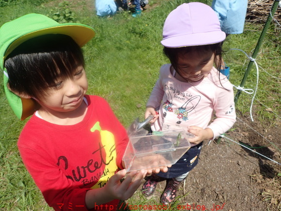 d0105749_14115972.jpg