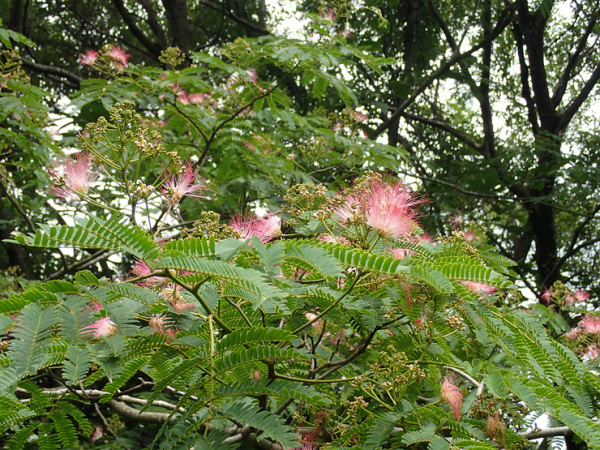 f0214649_04020470.jpg