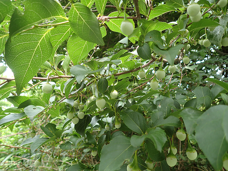 f0214649_04021203.jpg