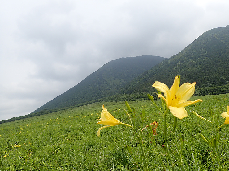 f0214649_04030250.jpg