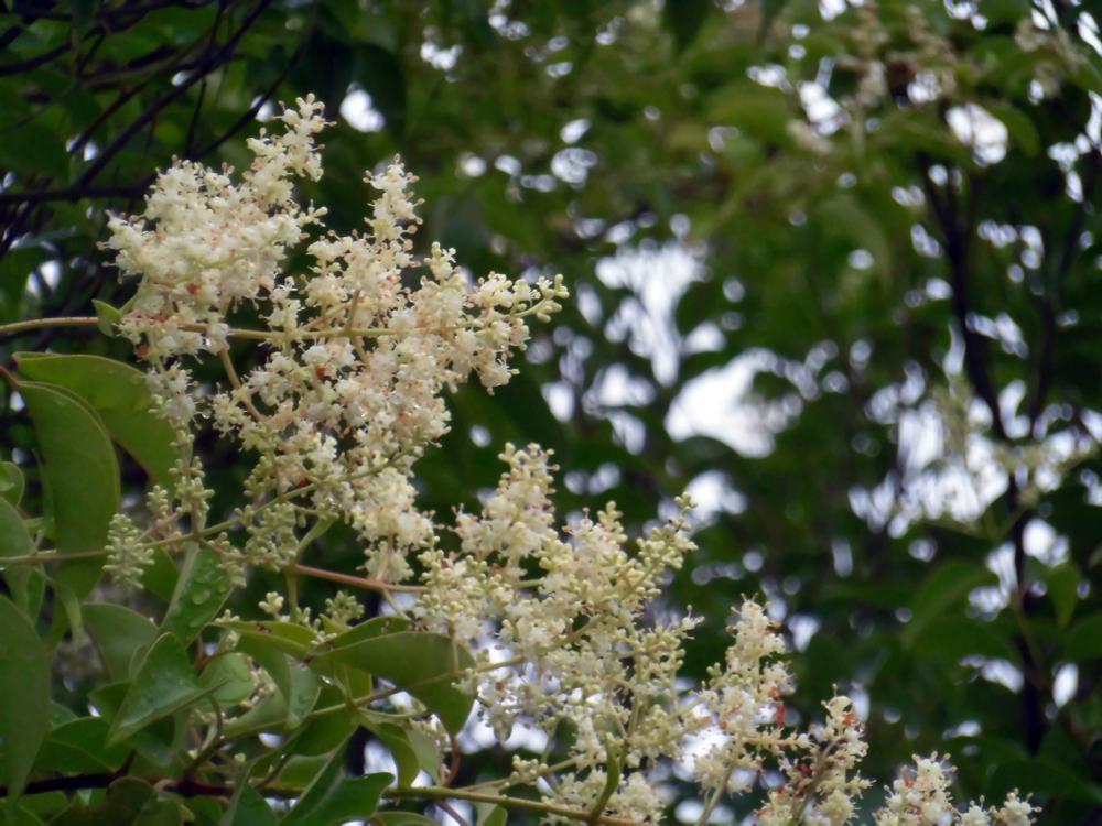 e0024554_23083126.jpg
