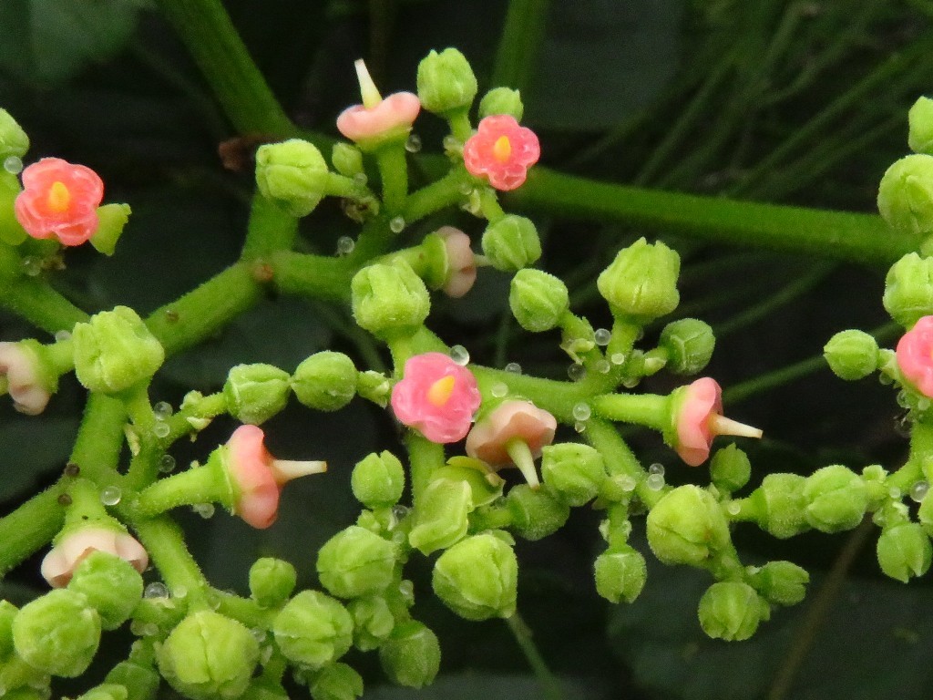 a0018655_09033266.jpg