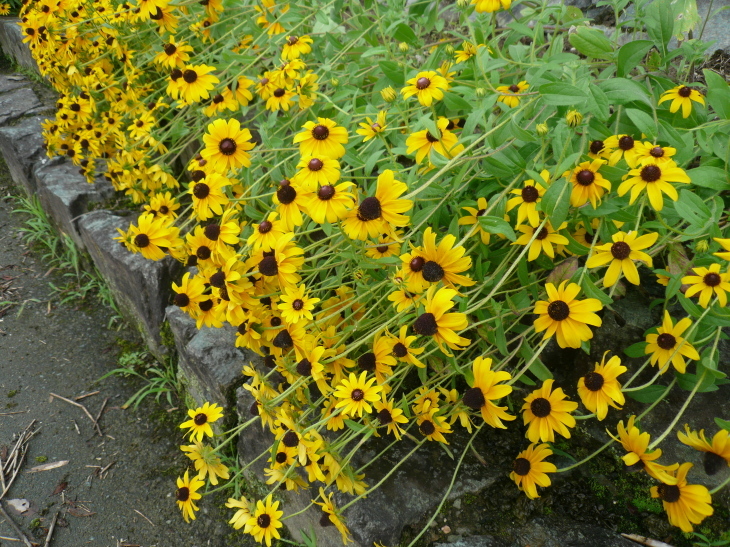 c0043055_13152751.jpg