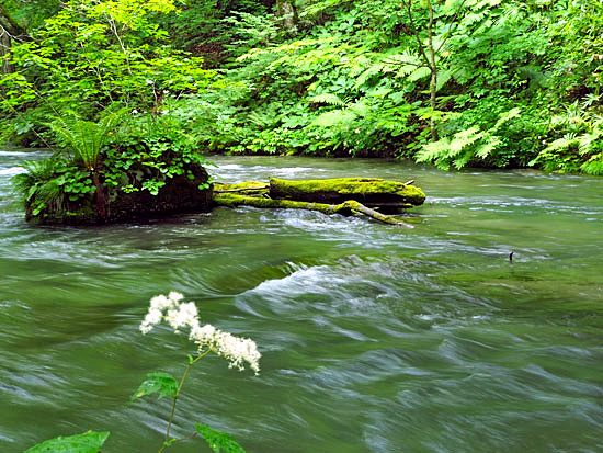b0016557_10313582.jpg