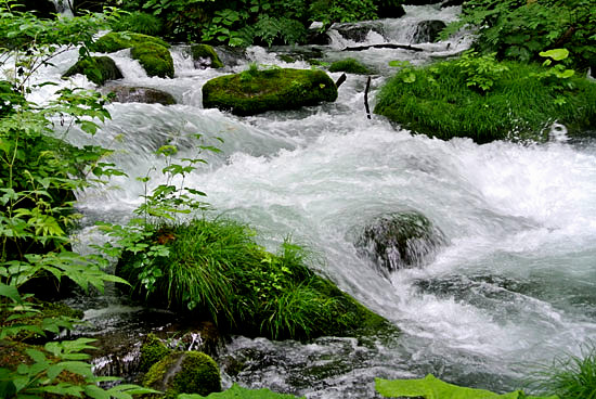 b0016557_10315026.jpg