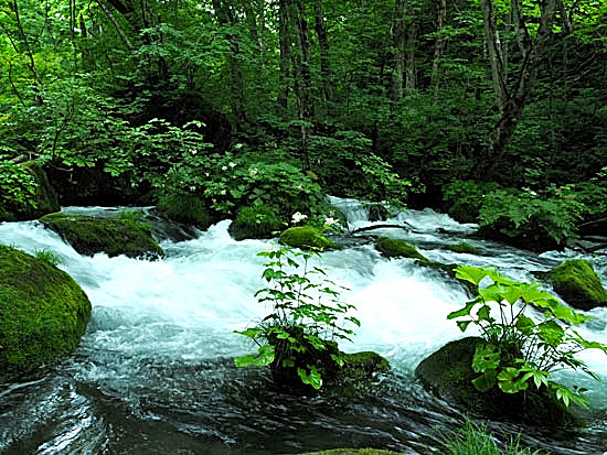 b0016557_10333065.jpg