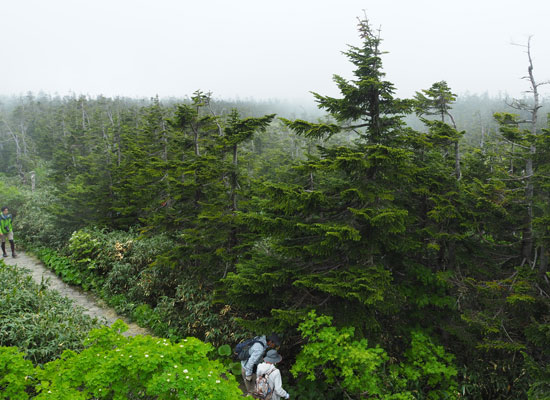 b0016557_9323384.jpg