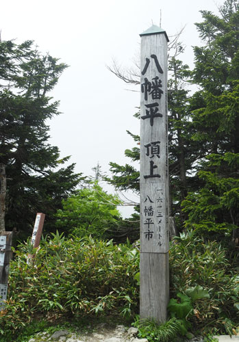 b0016557_9324663.jpg