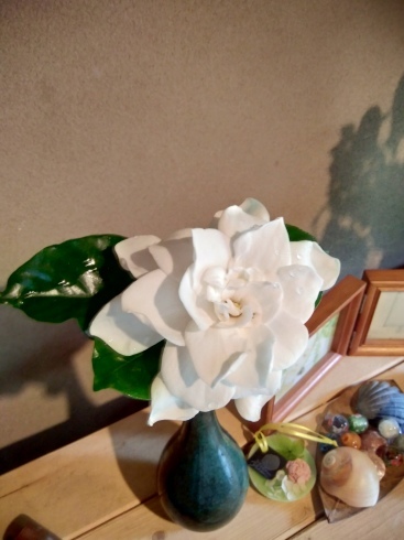f0156158_11314443.jpg