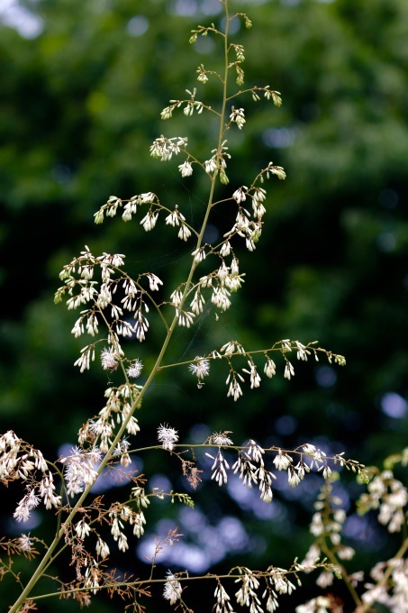 a0248459_02592300.jpg