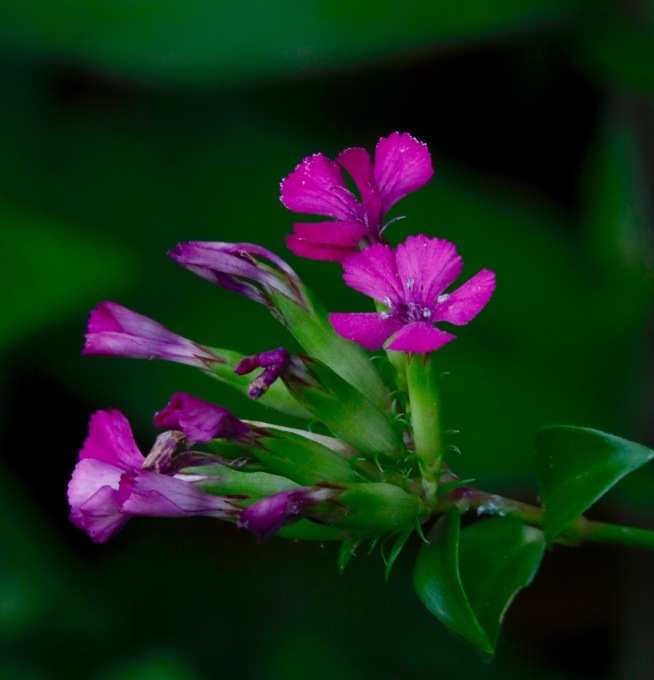 a0248459_03010592.jpg