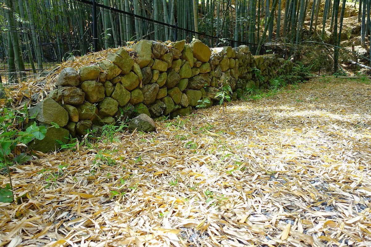 小塩山　大原院勝持寺（その１）_c0112559_08570108.jpg