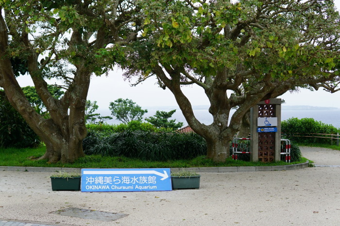 d0152261_18574748.jpg