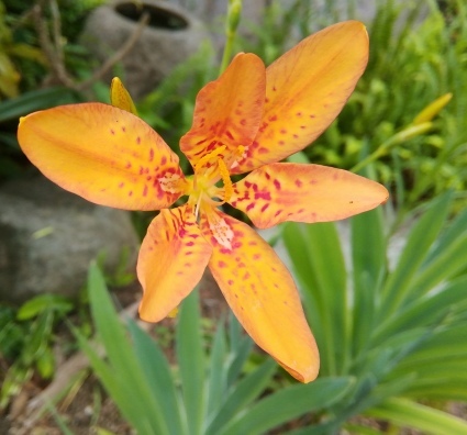 b0368362_09064421.jpg