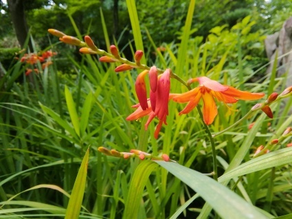 b0368362_09072460.jpg