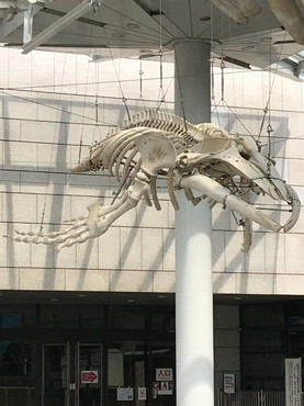 f0370162_16012542.jpg