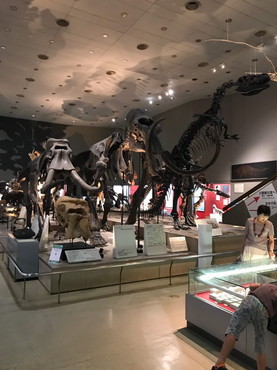 f0370162_16091901.jpg