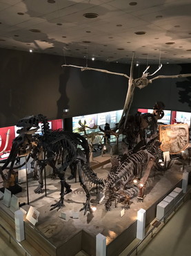 f0370162_16190746.jpg