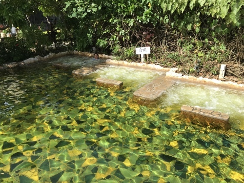 Miyako jima-2._c0153966_21422141.jpeg