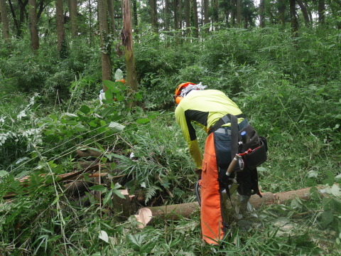 六国見山森林公園で令和元年度チェンソー安全講習会7・11_c0014967_10230519.jpg