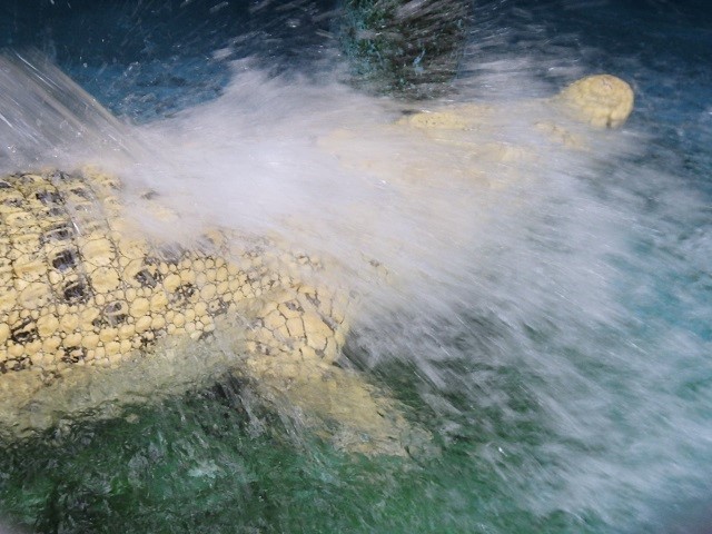 c0105569_01004041.jpg
