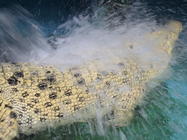 c0105569_01004451.jpg