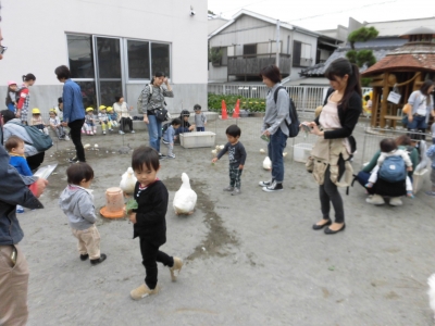 ふれあい動物村_a0382671_12552105.jpg