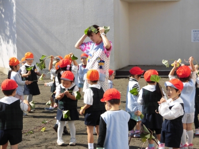 サツマイモの茎刈りをしました。_a0382671_12552333.jpg