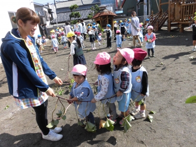 サツマイモの茎刈りをしました。_a0382671_12552377.jpg