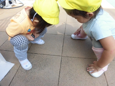 小さな発見い~っぱい!_a0382671_12560801.jpg