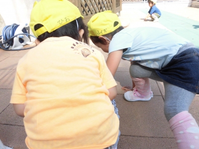 小さな発見い~っぱい!_a0382671_12560808.jpg