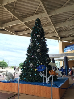 たのしかったね☆_a0382671_13252184.jpg