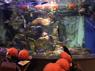 水族館楽しかったね☆_a0382671_13252301.jpg