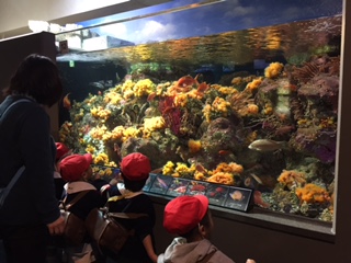 水族館楽しかったね☆_a0382671_13252331.jpg