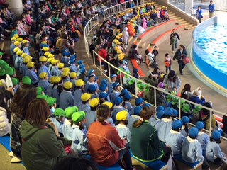 水族館楽しかったね☆_a0382671_13252385.jpg