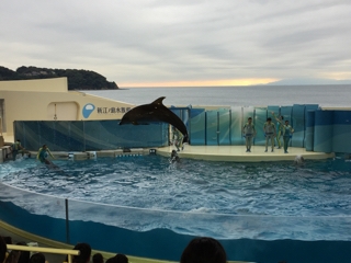 水族館楽しかったね☆_a0382671_13252395.jpg
