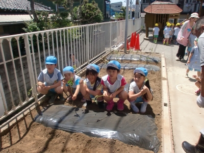 サツマイモ苗植え_a0382671_13261053.jpg