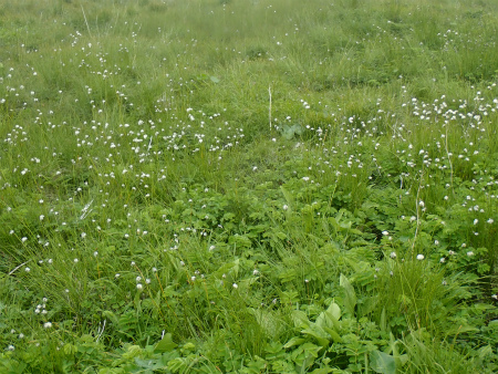 d0182075_09313681.jpg