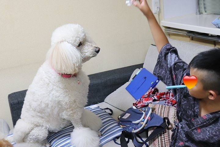 嬉しいお客様。_b0111376_14294067.jpg