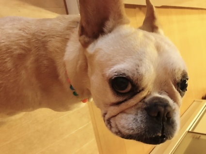 d0048577_22510170.jpeg