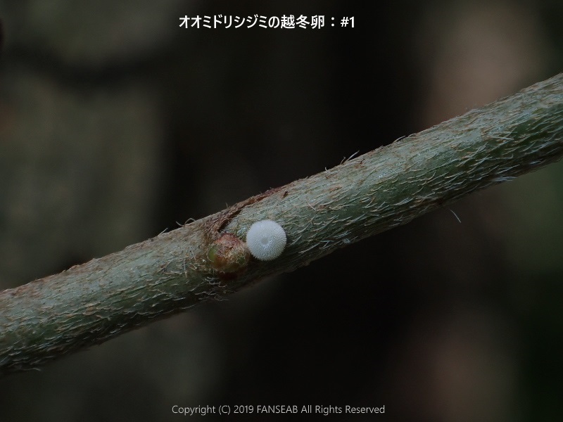 f0090680_1471430.jpg