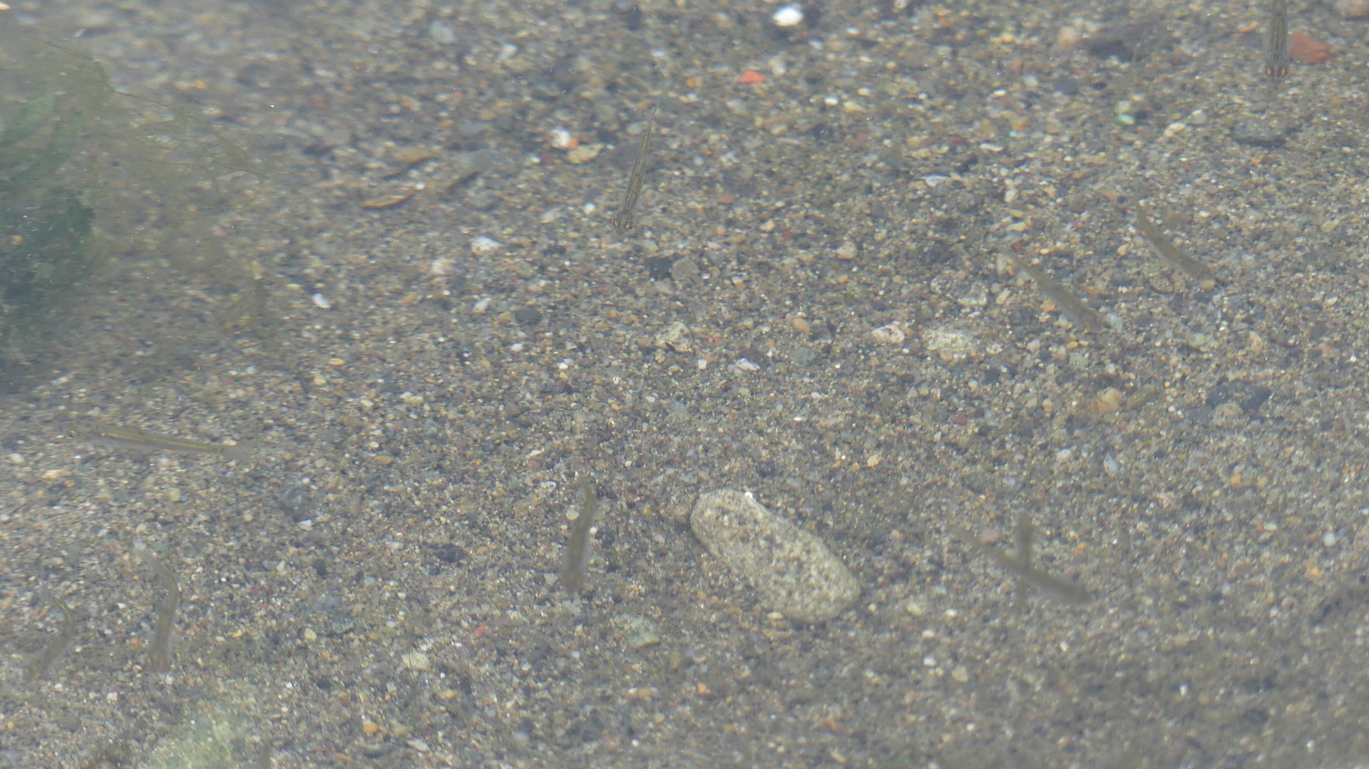 a0185081_13203908.jpg