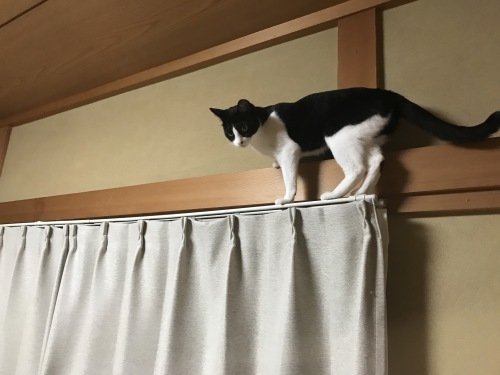 a0216583_23423783.jpeg