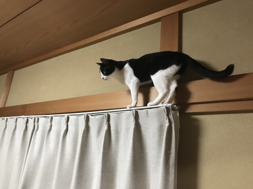 a0216583_23424130.jpeg