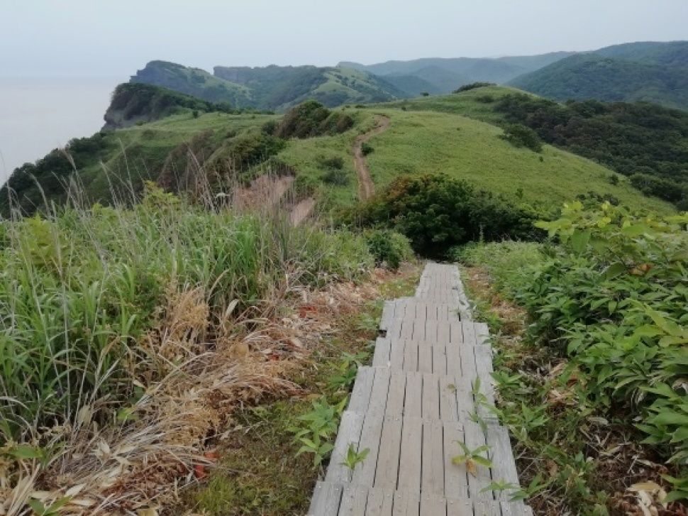 c0212083_17515433.jpg