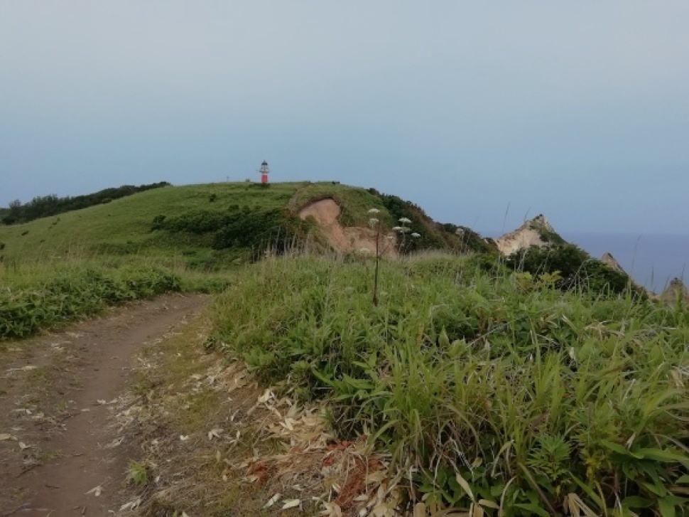 c0212083_17524327.jpg