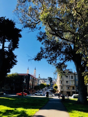 d0172088_19252481.jpg