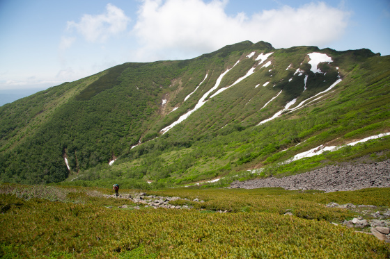 d0198793_13571595.jpg